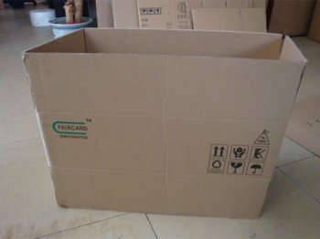 紙箱